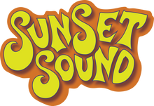 Load image into Gallery viewer, "Sunset Sound asked for Sunset Orange.  We said yes."
